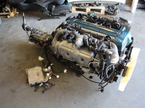 T6